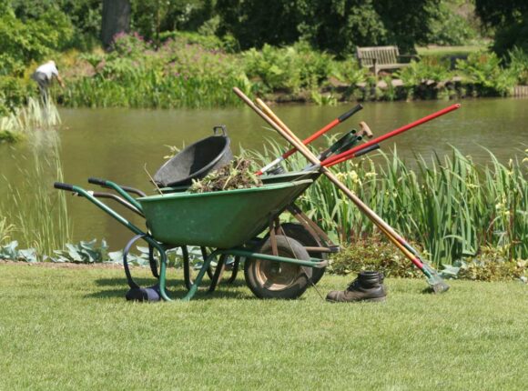A Variety Of Gardening Tools With A Pond In The Background