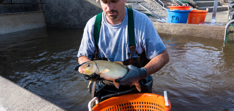 Hoffman,,nc/united,states, ,11/01/2018:,biologist,for,the,north,carolina